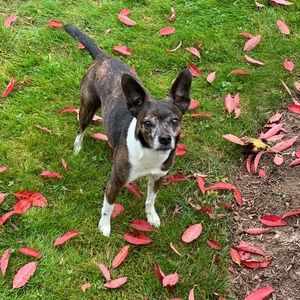 Meet your Posher, Posh